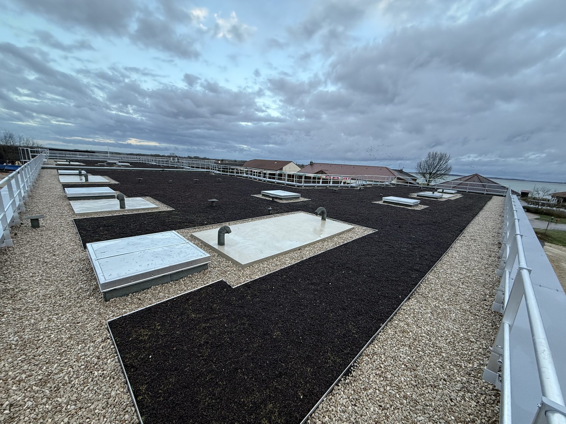 Vue panoramique d’une toiture végétalisée