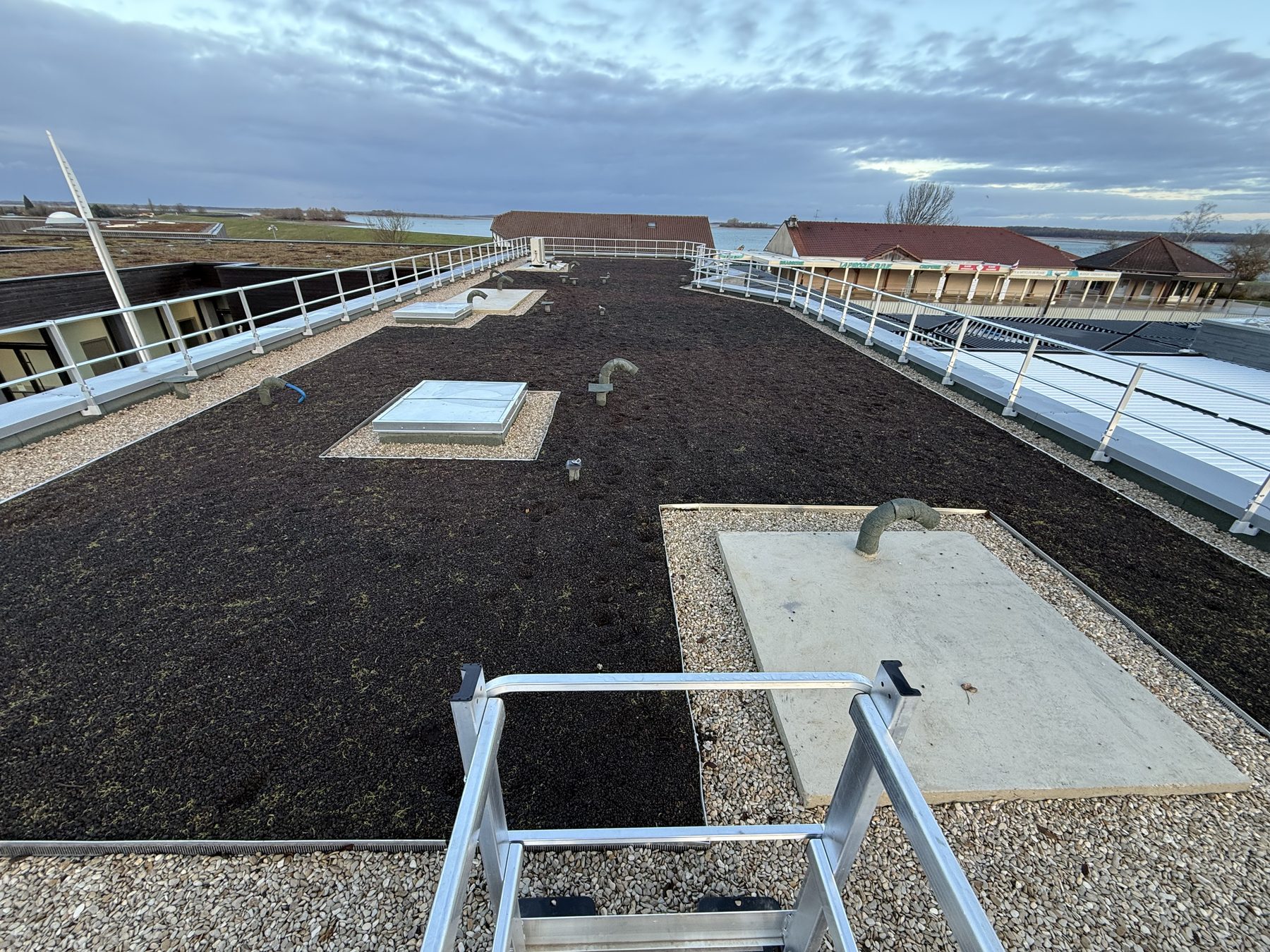 Toiture végétalisée sur terrasse technique